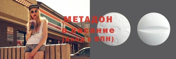 прущие грибы Хадыженск