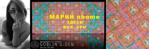 прущие грибы Хадыженск