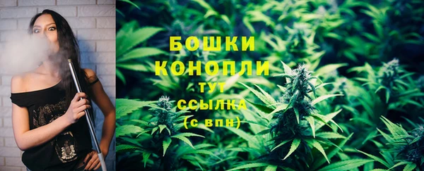 прущие грибы Хадыженск