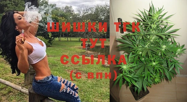 мдма Гусев