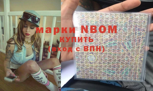 прущие грибы Хадыженск